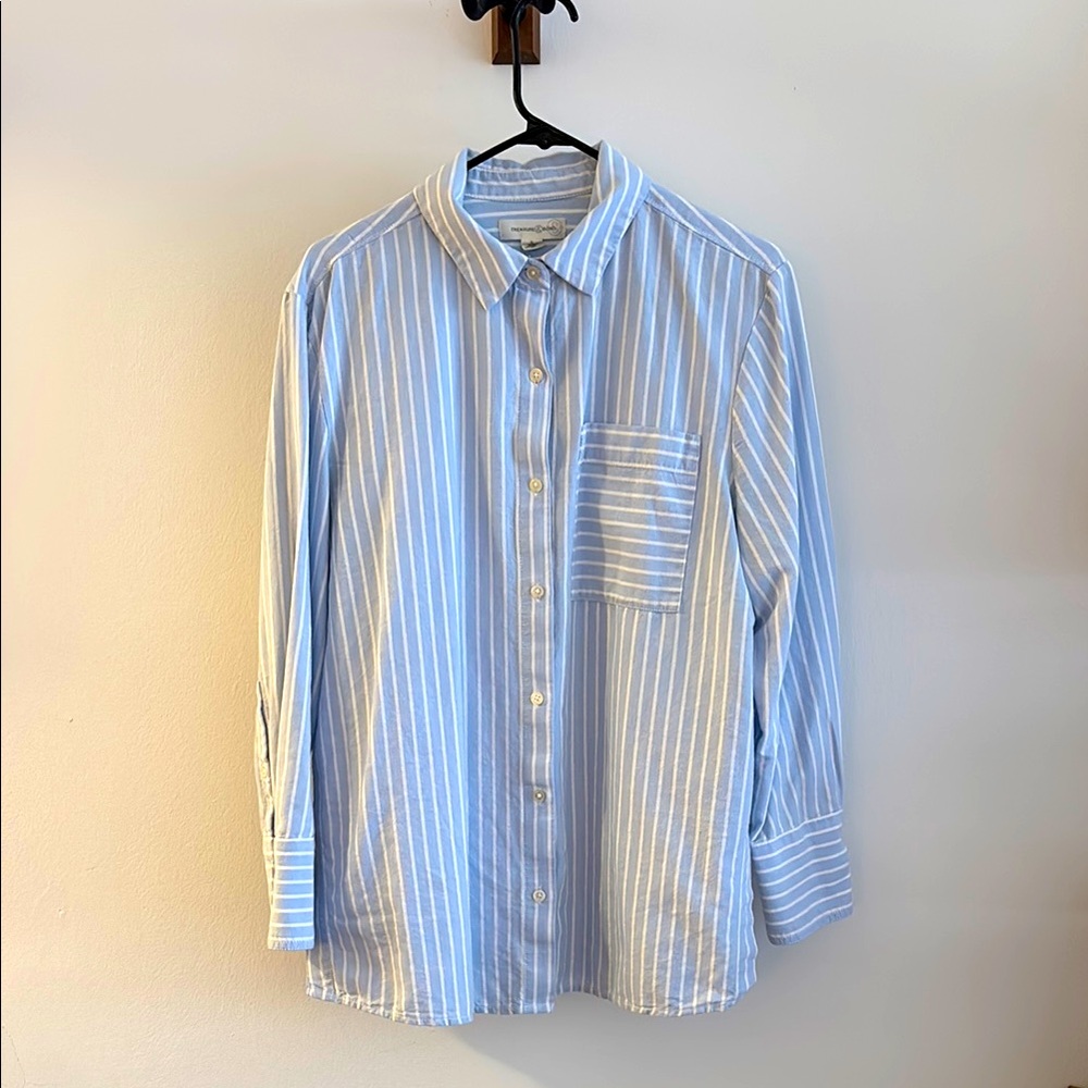 Treasure & Bond Blue and White Casual Button Down Shirt